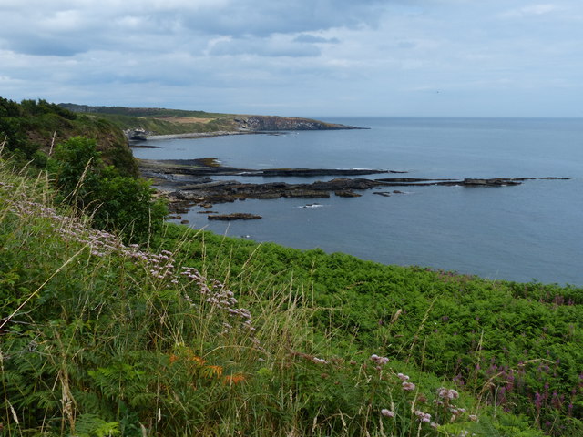 Northumberland coastline near Howick