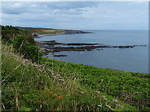NU2517 : Northumberland coastline near Howick by Mat Fascione
