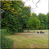 SO9095 : Muchall Park in Penn, Wolverhampton by Roger  D Kidd