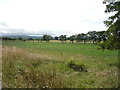 Grazing of Settle Lane