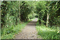 Former towpath of the Thames & Severn Canal