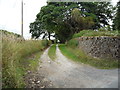 Farm track off Standing Stone Lane