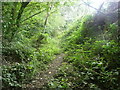 Halifax FP675 in a sunken lane