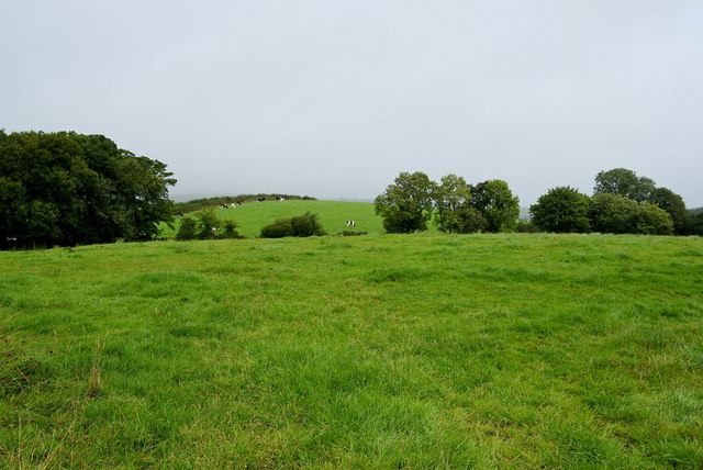 Green slopes, Lisnacreaght