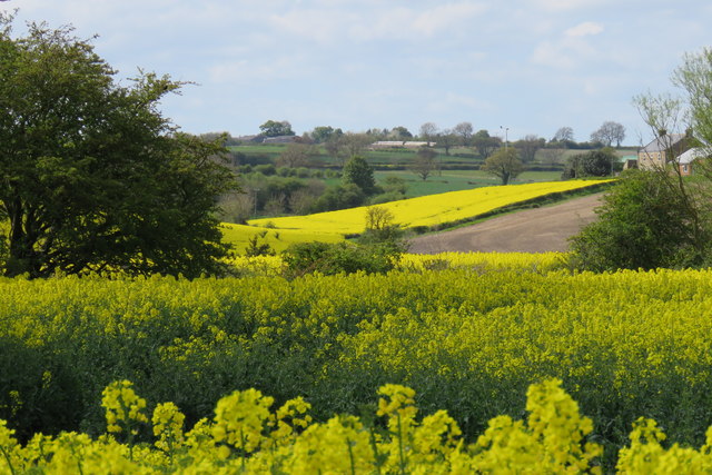 Farmland, Tursdale