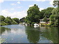 The River Thames on the north side of Desborough Island