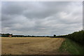 Bridleway heading away from the B1224