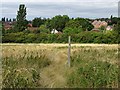 Footpath to Morley Road