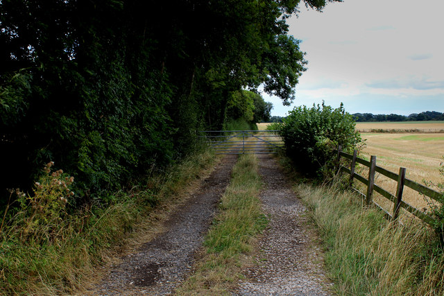 Track leading towards Walton Wood