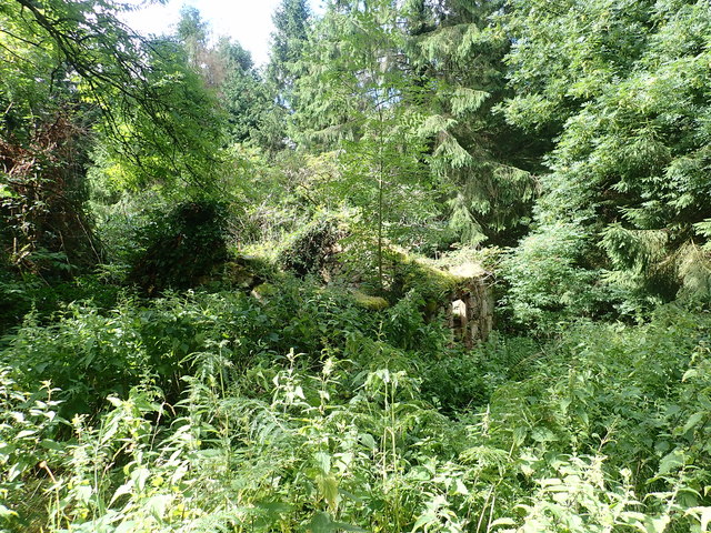 Ruined mountain lodge in Ravensdale Forest