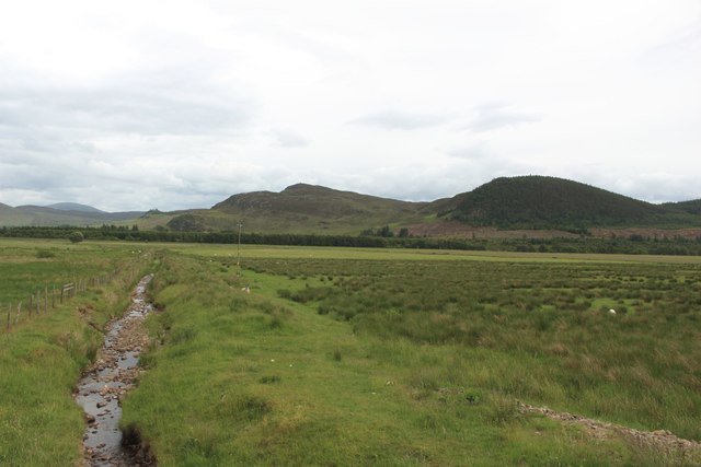 Grassland east of Blargie