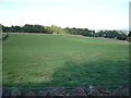 Grassland near Butler Hill