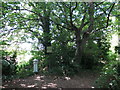 Footpath on the north side of Desborough Island