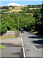 Wooded hillside view from Addison Way,  Graig-y-rhacca