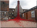 SJ8649 : Weeping Window at Middleport Pottery by John M