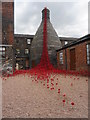 SJ8649 : Weeping Window at Middleport Pottery(3) by John M