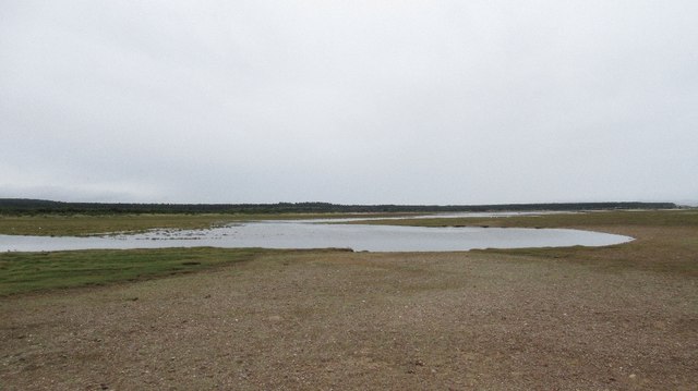 Salt marsh, Carse of Delnies