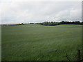 Grass field near St. Michael