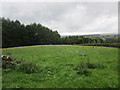 Grass field at Balgray