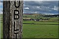 View from Stanley House to Wardlow Mires