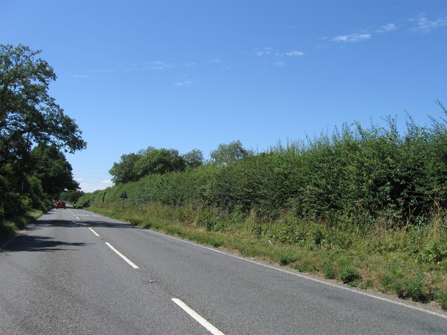 Poles Lane