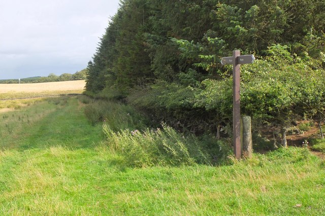 Field path from Mauldslie