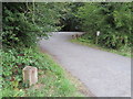 Stanney Woods car park and a boundary stone