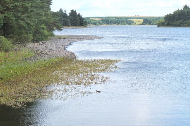Bay on west side of Gladhouse Reservoir