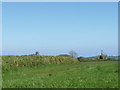 Trig point in the hedge on Treloweth Common