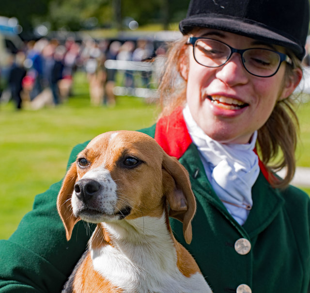 Lowther Show - 11 August 2018 (3)