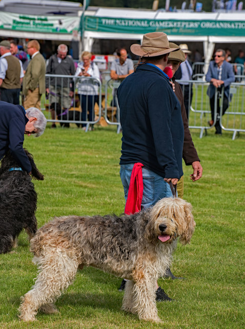 Lowther Show - 11 August 2018 (4)