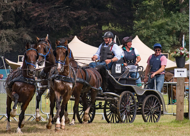 Lowther Show - 11 August 2018 (27)