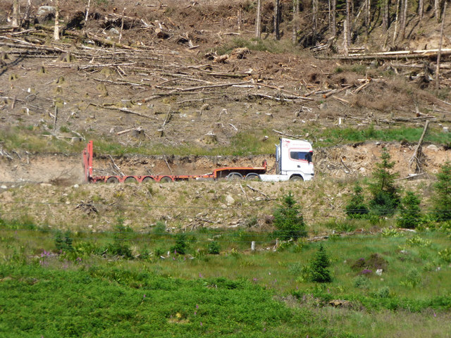 Log lorry in Clachaig Forest