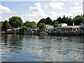 The River Thames by the northern end of Dockett Eddy