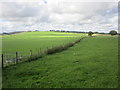 NS9236 : Grassland near Lochlyoch by Jonathan Thacker