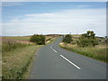 West Road, Dodgson Allotment