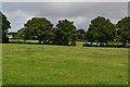 View across fields near Craiglea