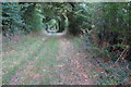 Bridleway towards the Charlton Road