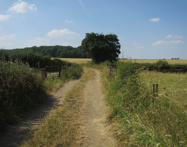 Bridleway to Rokey Wood © Hugh Venables :: Geograph Britain and Ireland