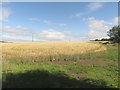 Arable land at Lysdon Farm