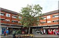 Shops on the corner of Bear Road, Hanworth