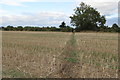 Footpath to Brackley