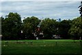 View of Canary Wharf from Hilly Fields Park