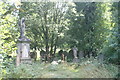 View of gravestones in Ladywell & Brockley Cemetery #8