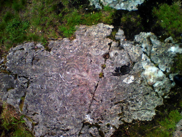 Weem Wood Cup Marks