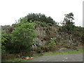 Old quarry face near Cogsmill Bridge