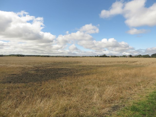 Arable land south of Blyth