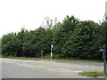 Bus stop and woodland beside Northumberland Way (A195)