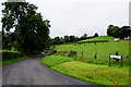 Genhoy Road, Glenhoy