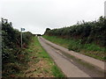 Arwyddbost cerdded ar heol fach / Footpath signpost on minor road